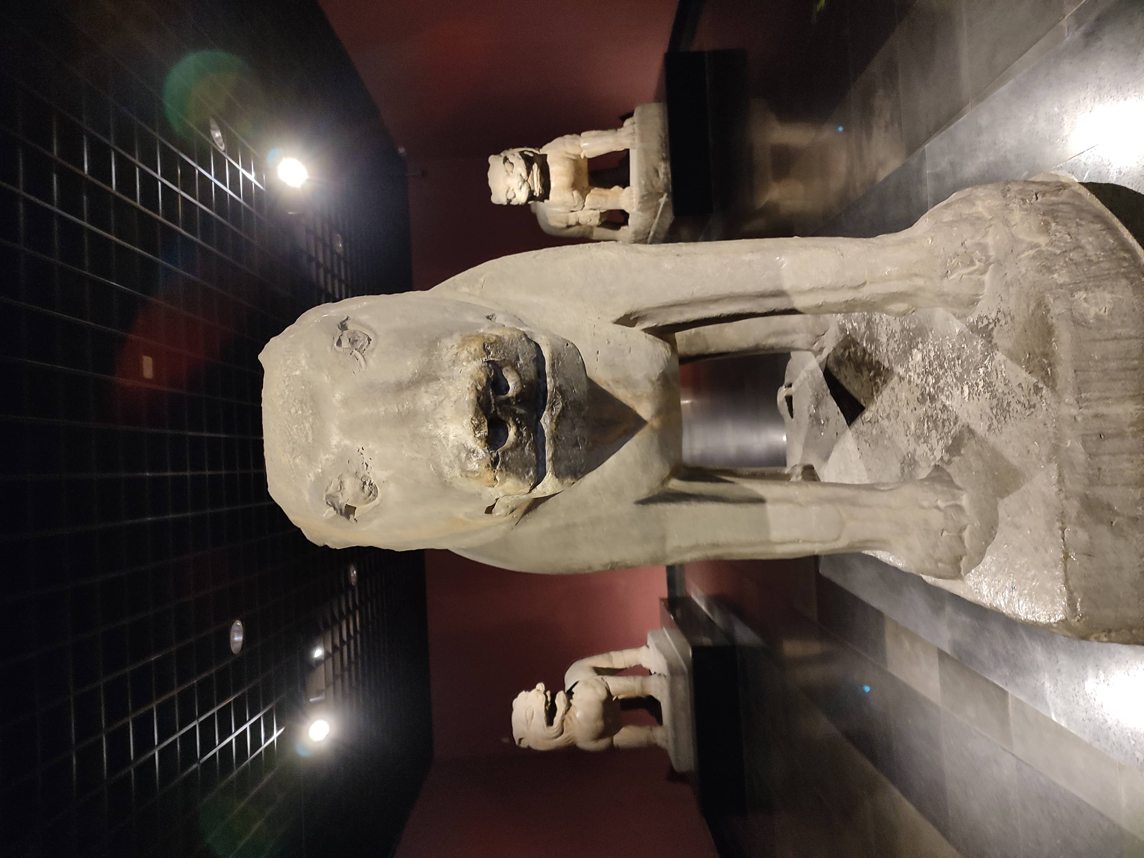 不知道是不是豹子